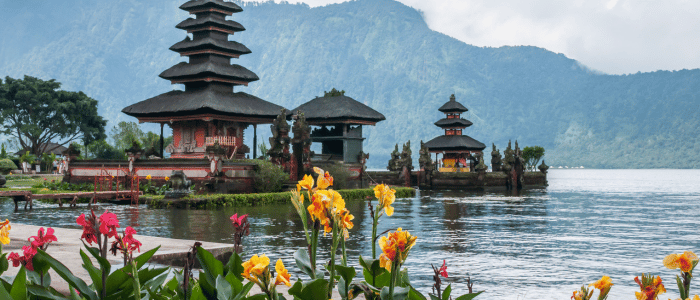 Bali survival guide