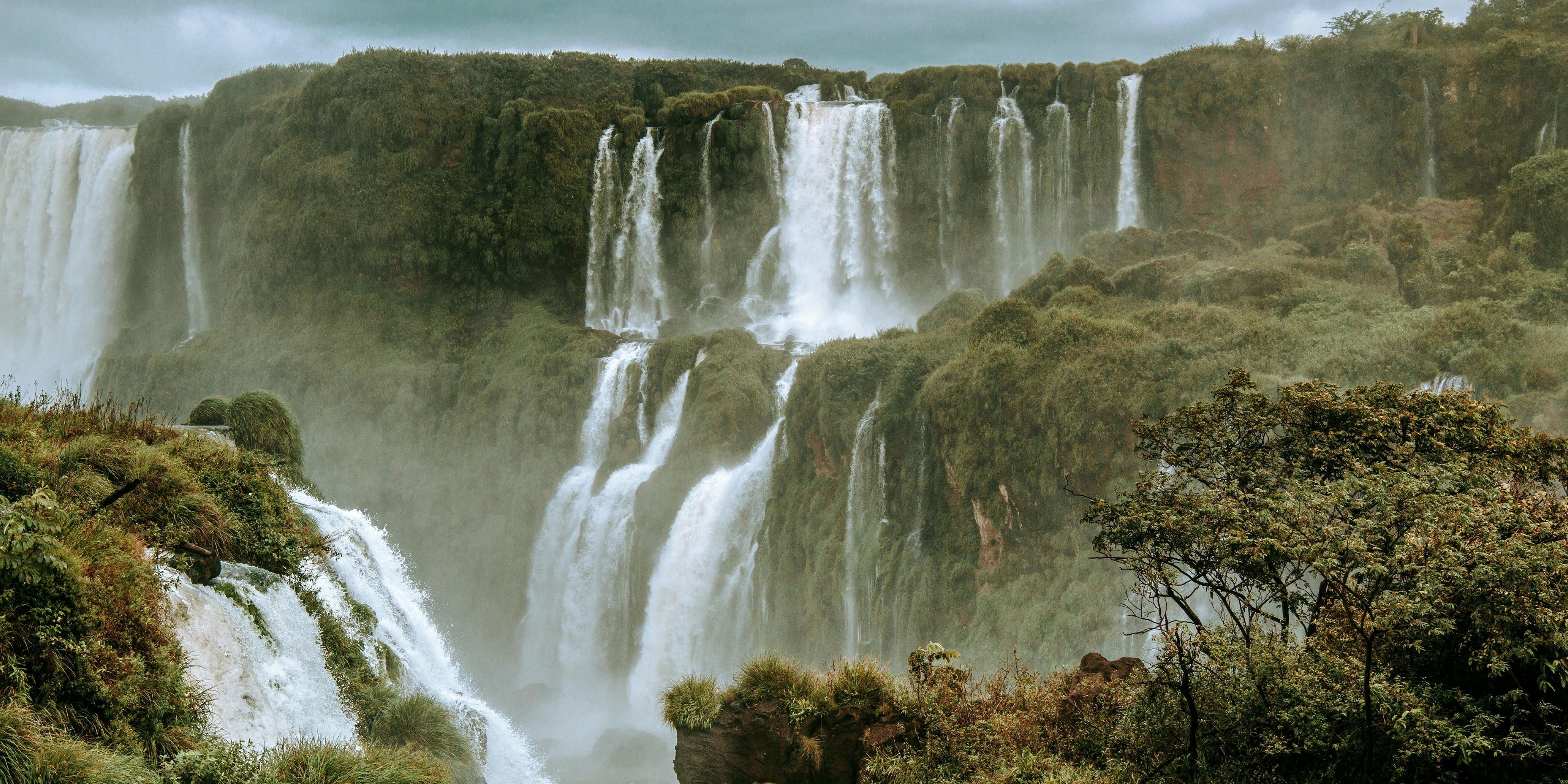 Amazon Rainforest