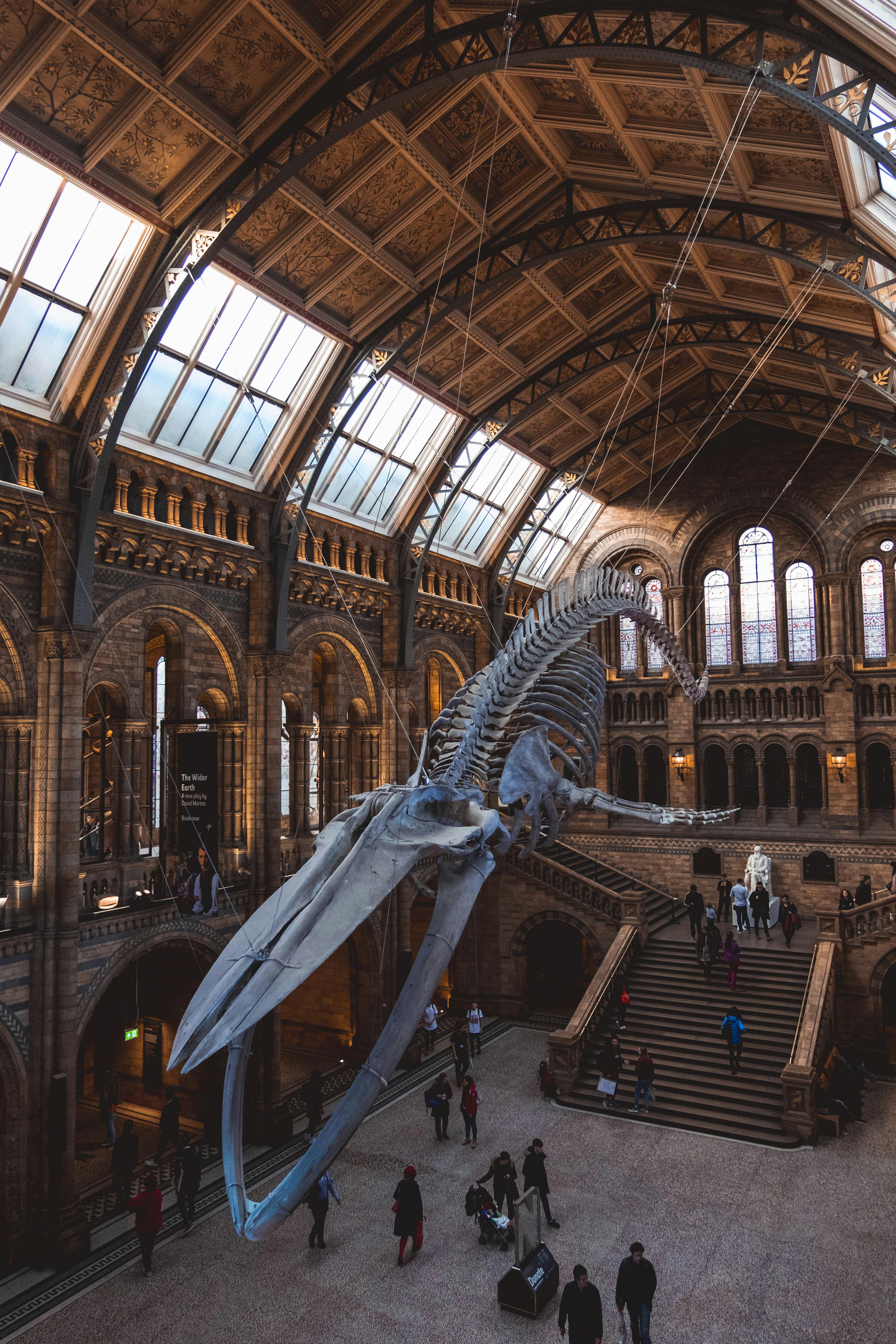 Natural History Museum