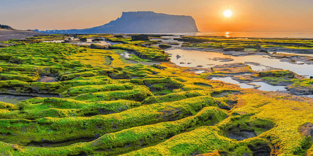 jeju